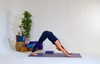 A DEEP-DIVE INTO DOWNWARD DOG